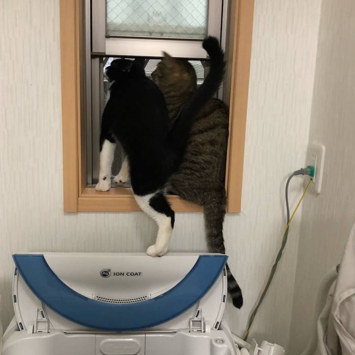 975b9077 09c7 4070 adc1 6020163e25b5 1536077489821