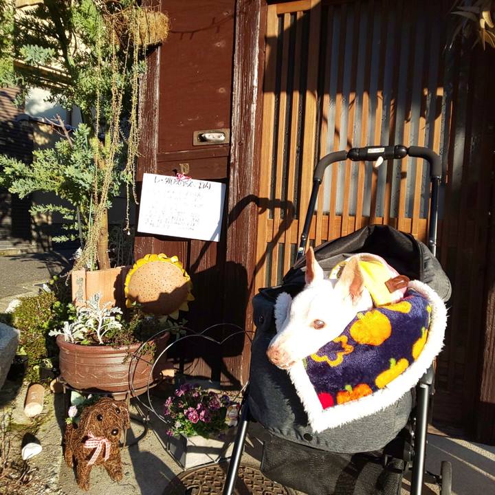 975b9a07 ffbc 415a 8a8c b32e84572f0c 1614209790663