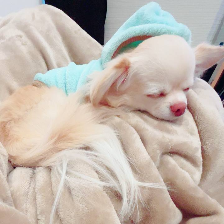 975ba70b 5204 4619 ba3c 5ab61549c542 1704369478106