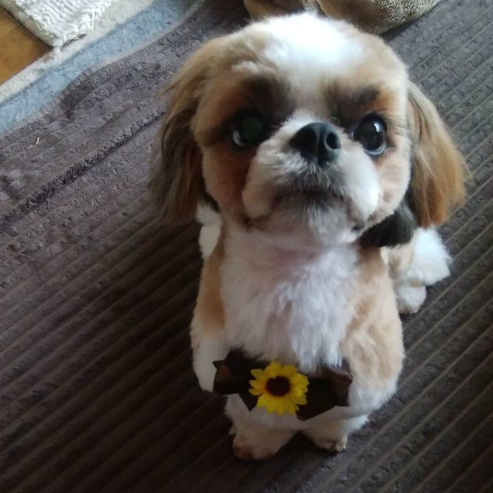 975ba772 9c34 4fbb 8893 a517c49dc0c6 1562567516952