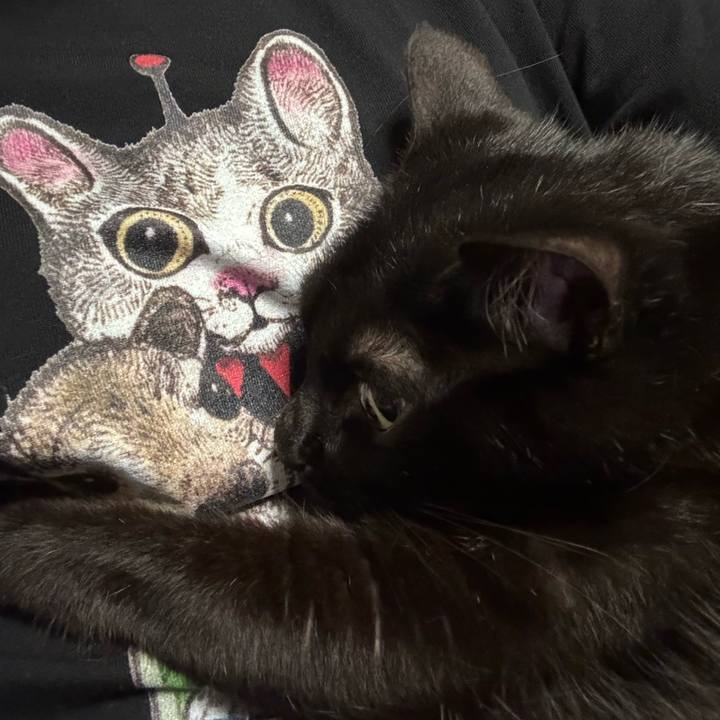 975bd4c2 28c8 42c5 a67b 85e09c76fb74 1720956460105