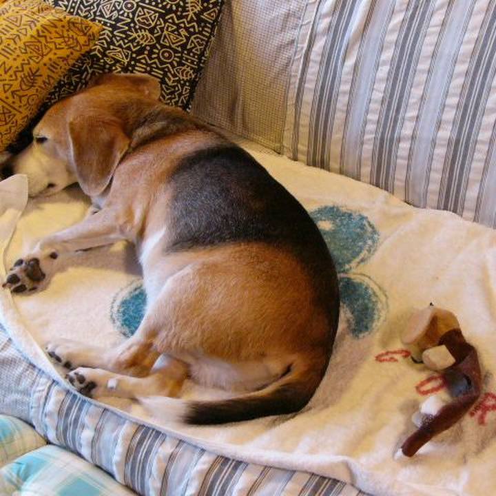 975bdebf 16fd 4a0a 97cd 12655a1fefb3 1652659885263