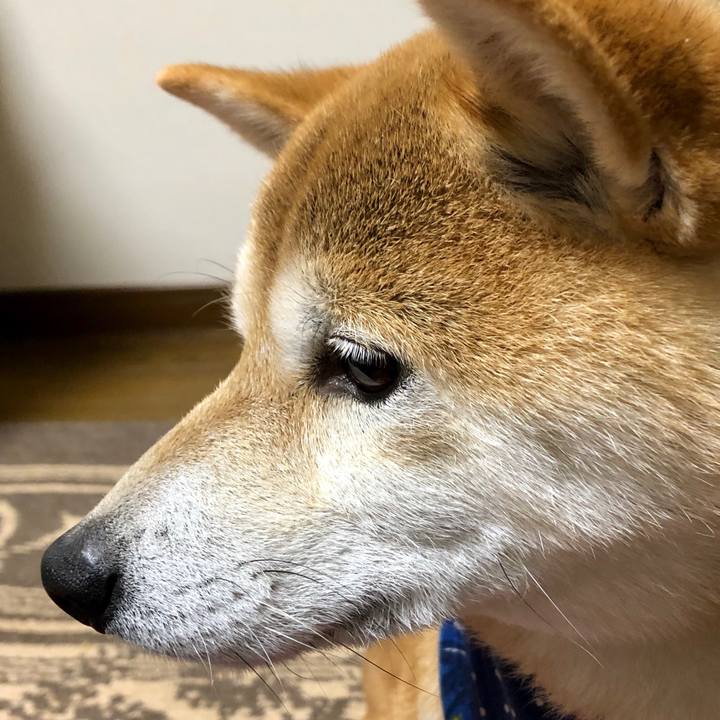 975c1d13 82a6 4bec 8056 c08affbb2de1 1550395203007