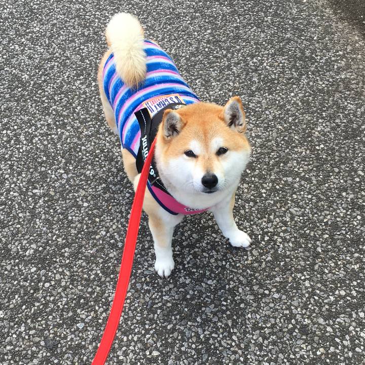 975c42a3 7e00 4cbc 9328 5f12e79158ce 1583719927541