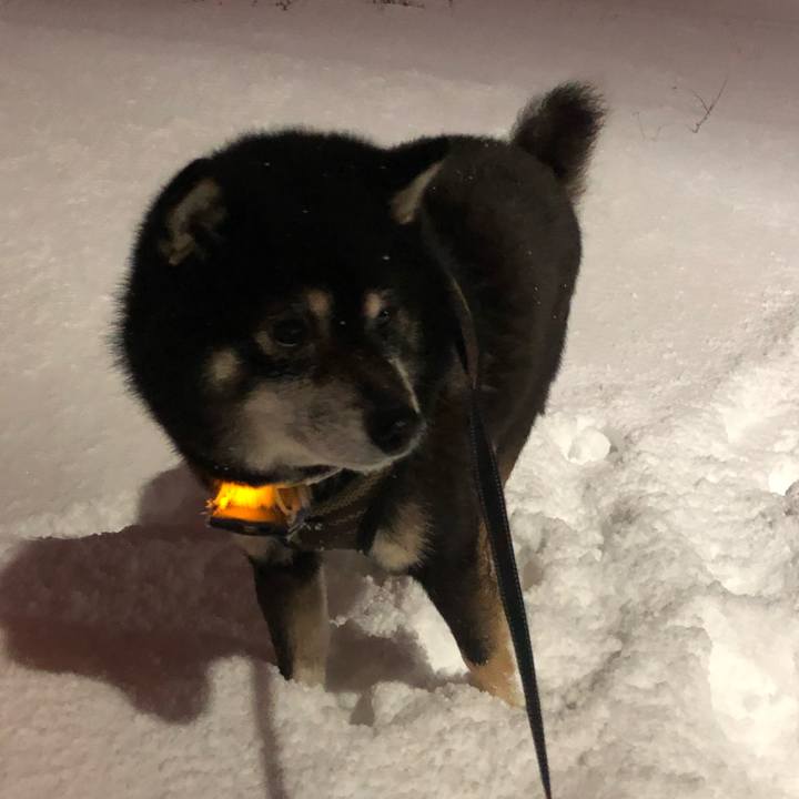 975ca709 ba21 4843 ae9d 1ee9f1d33e77 1608066353192