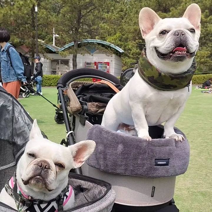 975d3952 d906 4433 9010 081f7b2d98b7 1680408384377