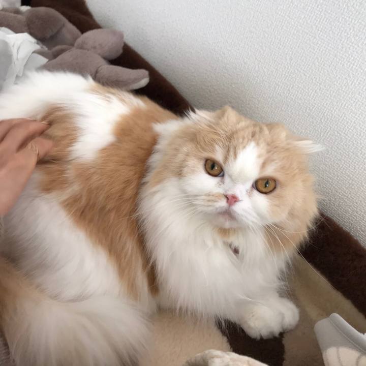 975d4726 b24b 43db b48b 37999bc8f004 1585373575913