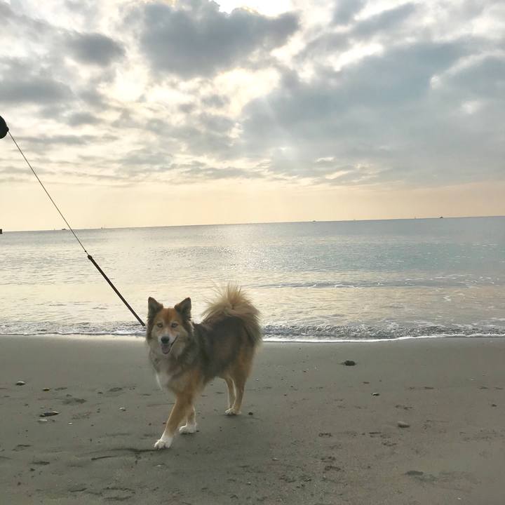 975d61ad 2abd 47b4 bf64 a1bdcdfe2e76 1516427281694