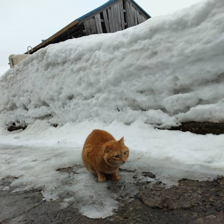 975d6828 e45d 4283 8453 1c0ab3760295 1676242277800