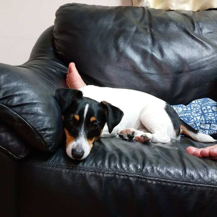 975da6d1 53d1 4605 b592 359822bb18eb 1562067348380