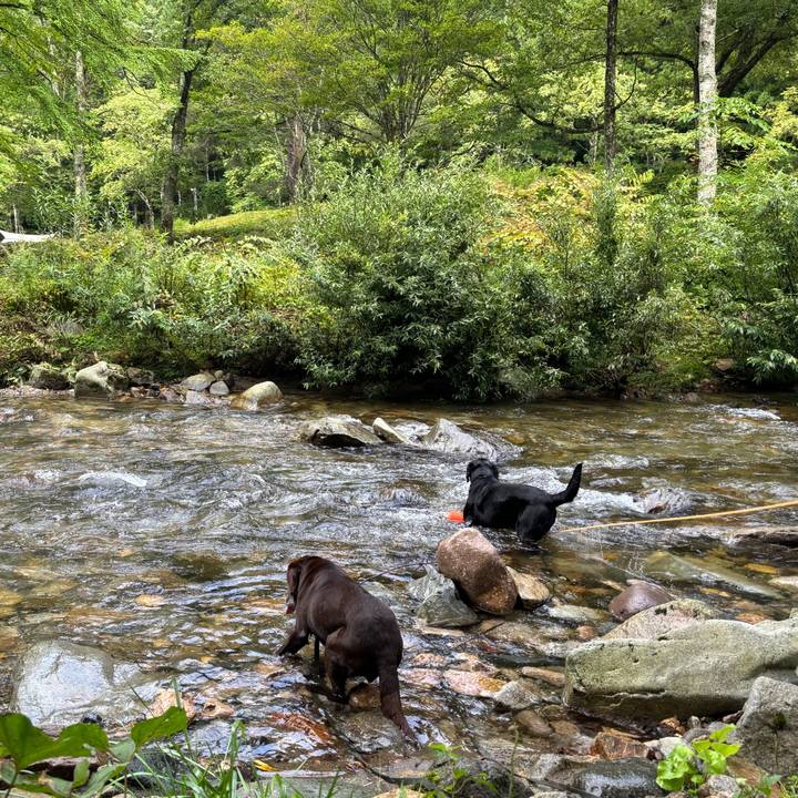 975dad12 135d 4798 af56 6350be4fb166 1758027119131