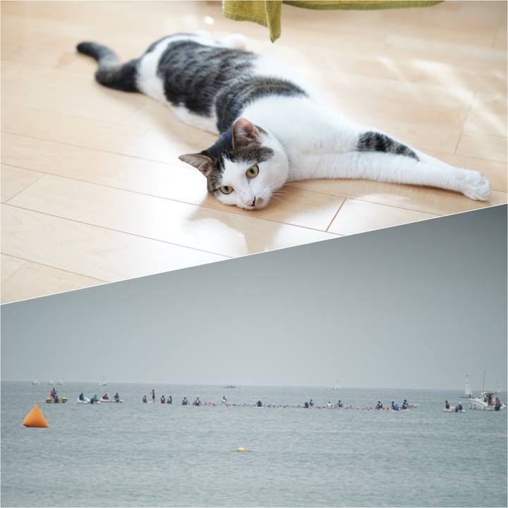 975dc3c6 63da 49ff 99e9 63dfe20437f9 1531403123375