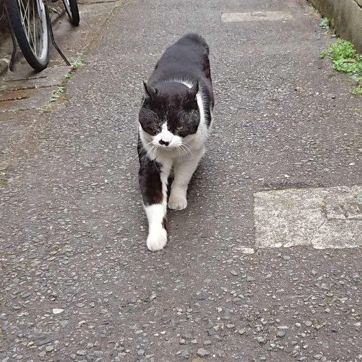 975dc697 dd16 4acb 8337 41ed88b87ebb 1678663445246