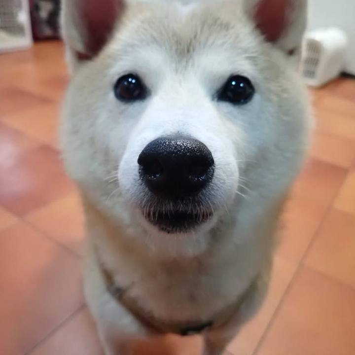 975dee71 2357 4c0f 9fa4 f60fe9bcdaf2 1759613685938