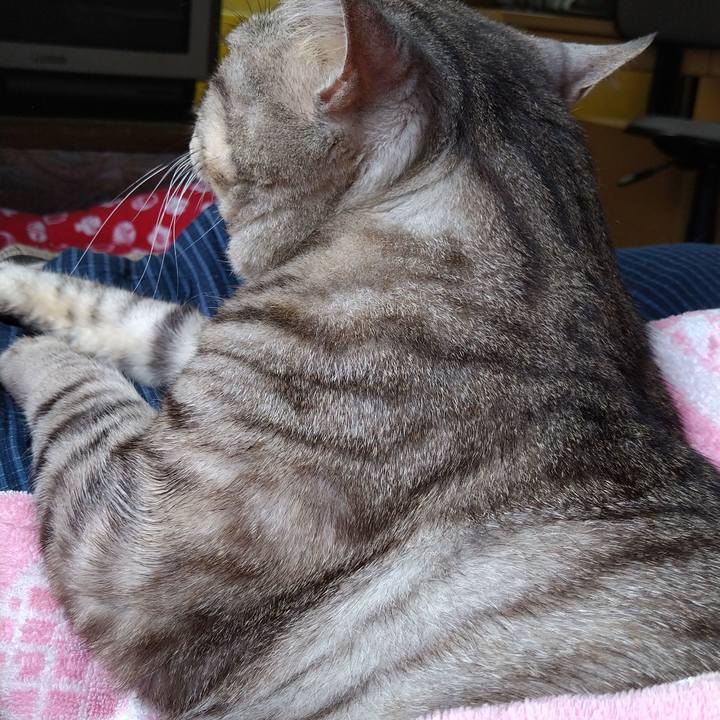 975df18a 87a1 49e9 a3cd c6bf82d88dac 1592277587202