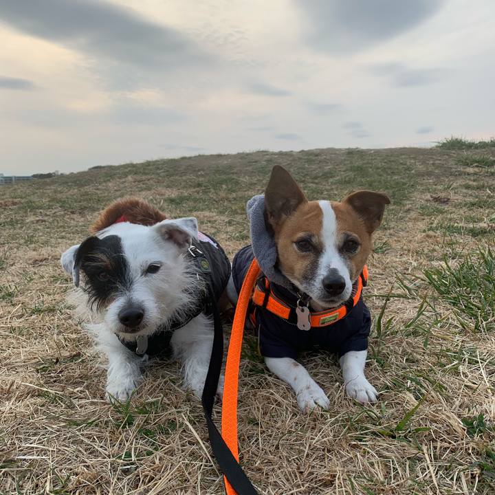 975df82c 0d0c 40c1 a8e4 babcbc25118a 1549616005562