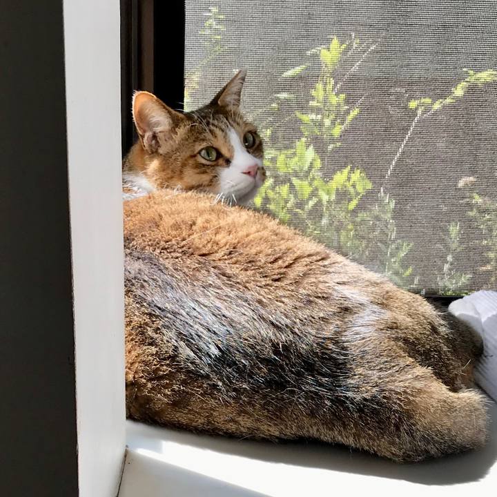 975e1d69 af5b 4dbe a953 77b44aa0ba94 1565086325058