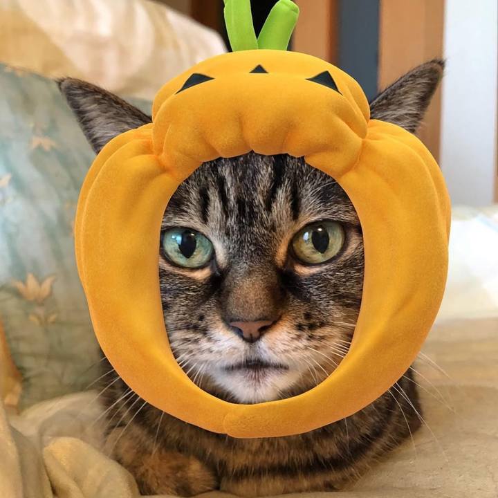 975e209b eb01 41d8 8346 45a46491463a 1761903181655