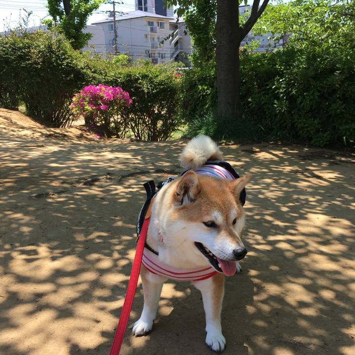 975eacf8 b513 4d77 8240 71b89c88b43c 1589435870617