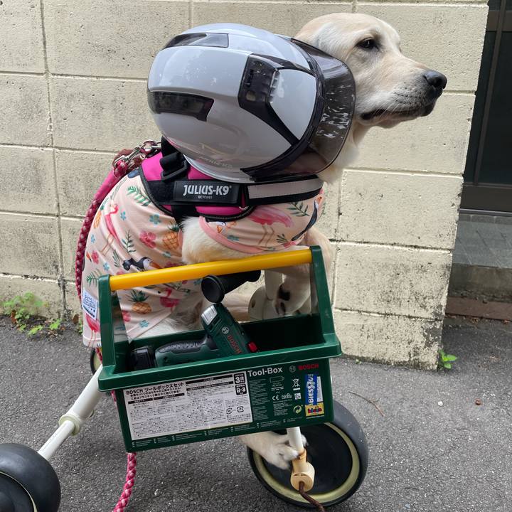 975eae8a d44a 4040 a9d1 ecadbcbb98ef 1622629387302