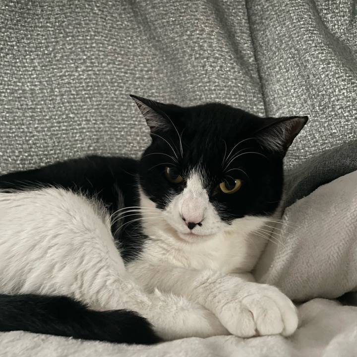 975eb8d3 689d 4afa 975f ba20aa8d035d 1733078713334