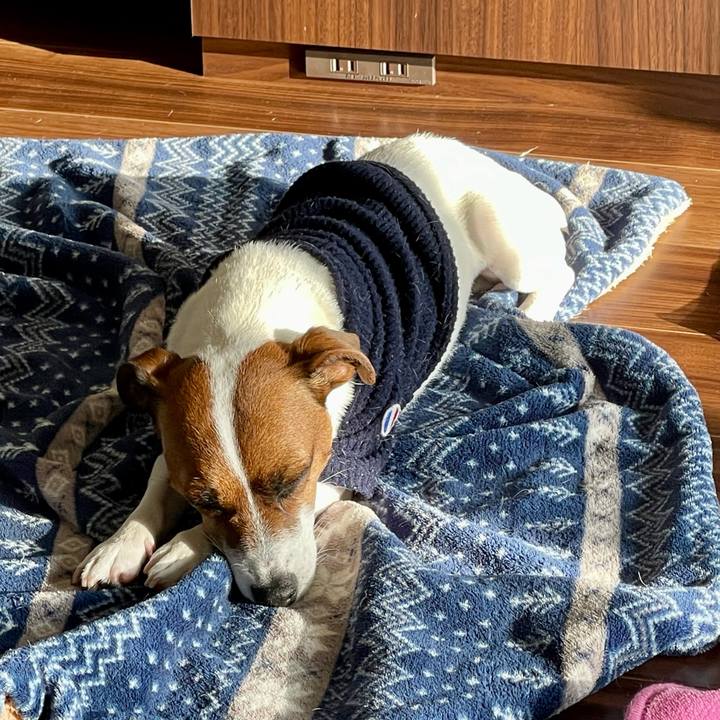 975ed0ef 7dd9 4a62 be59 a2f4d05b0645 1644881391776