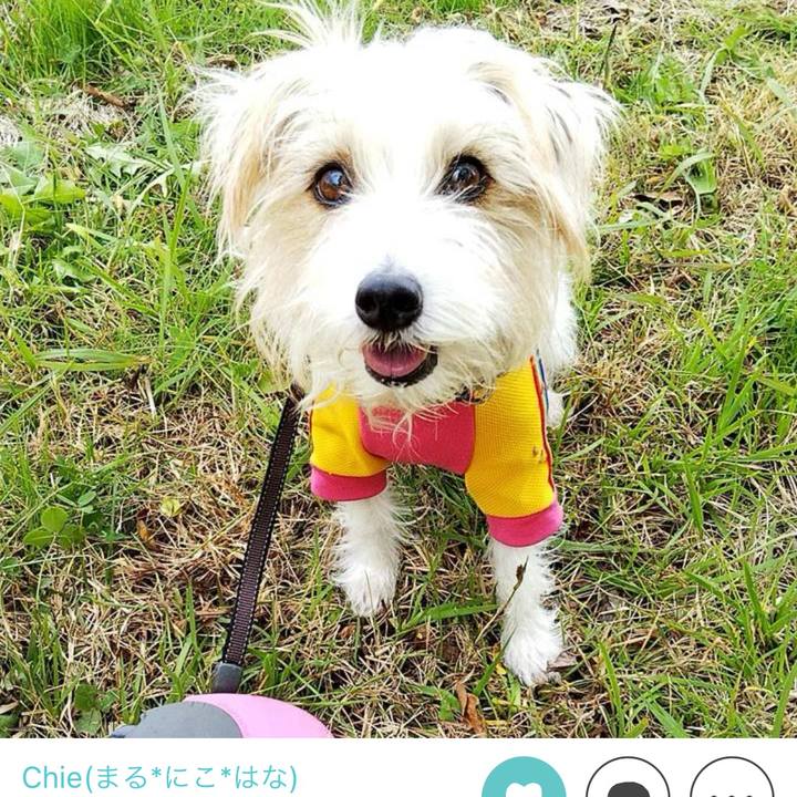 975edb4e f274 47e2 923f 46fc80975d4f 1702245652514