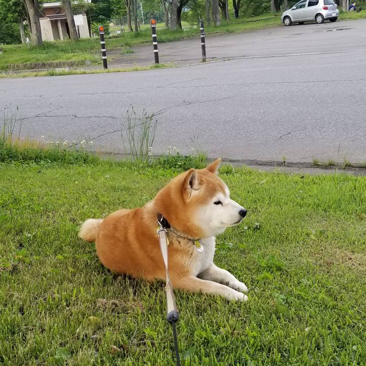 975efcd6 1c5e 416e b816 210dbe23c281 1653466181136