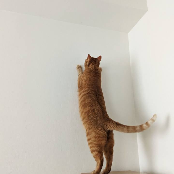 975f22cd a51b 41e5 b84f 9d69a2207f87 1685488672145