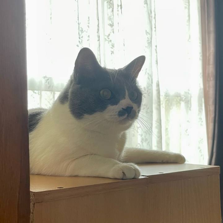 975f2cf5 85f3 467a 9012 33ba1989fcde 1659912711861