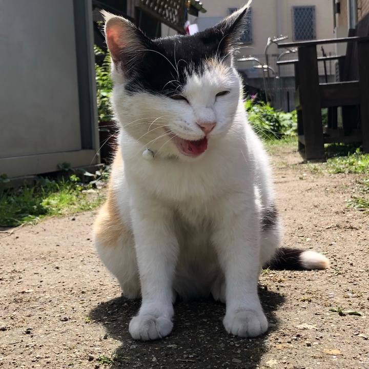 975f3afd 8421 484b a663 e00ba0ce42fc 1650460409791