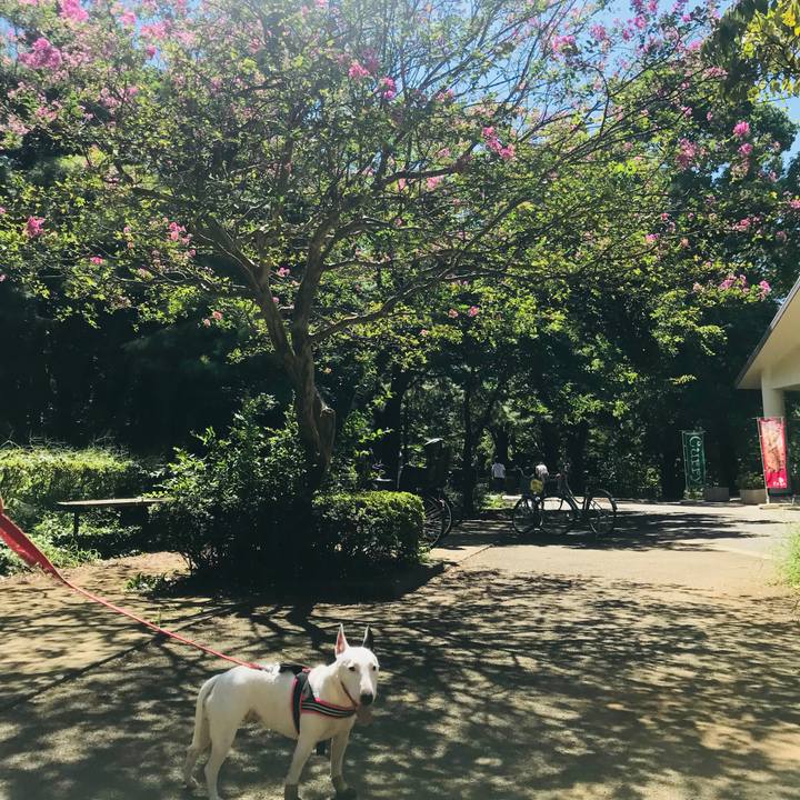 975f45e1 4b86 422a b341 1968c0313429 1536817202374