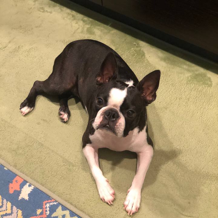 975f621a bac2 4d48 a9e8 90eb35710e72 1566121142710