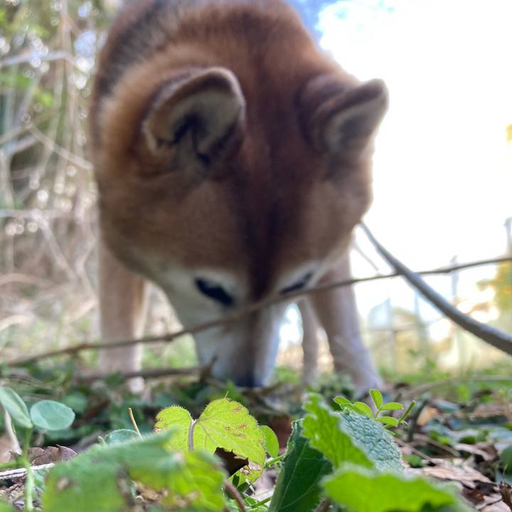 975fb248 8372 4460 a462 590c83ad6eab 1739752811379