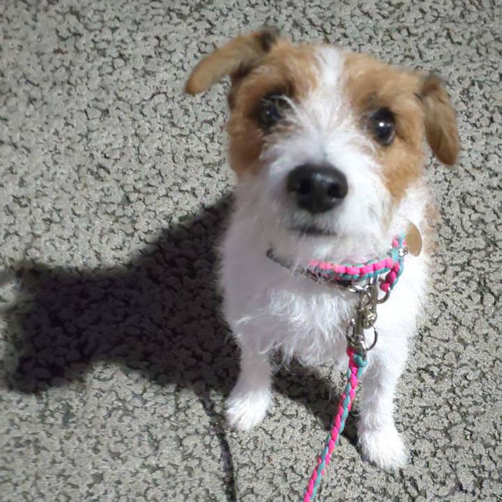 975fe30a a2a4 48cb ba79 be94afb6f04b 1575447406491