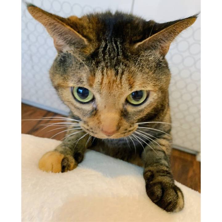 97600779 8ce3 4c54 9601 ade38d3fcf0f 1645186140664