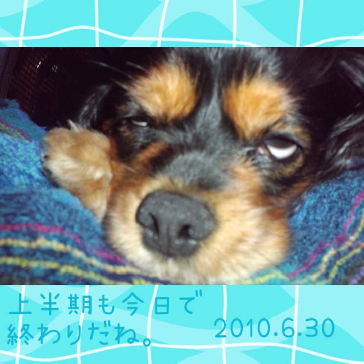 97600f45 489e 4b88 88ec 2ec843e17590 1561904399864