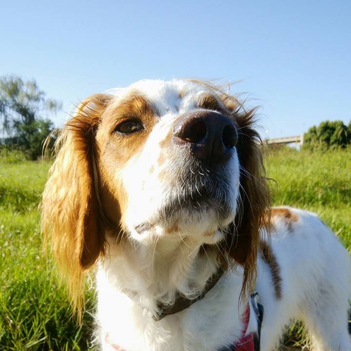 976050fa 79f3 420f 86de 2f7b490e2b36 1538095960613