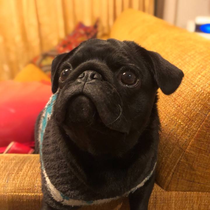 97605d0a f368 48c9 bc1b 70e1aa084382 1610534867476