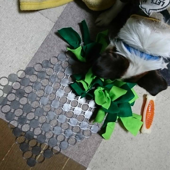 97606379 6a24 425d 81a1 0f884bd1fc2c 1583848722991