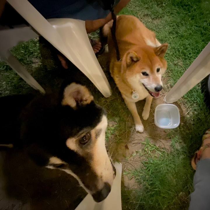 97607f1d da95 4ece 93ba c59db39dc2a8 1626497895261