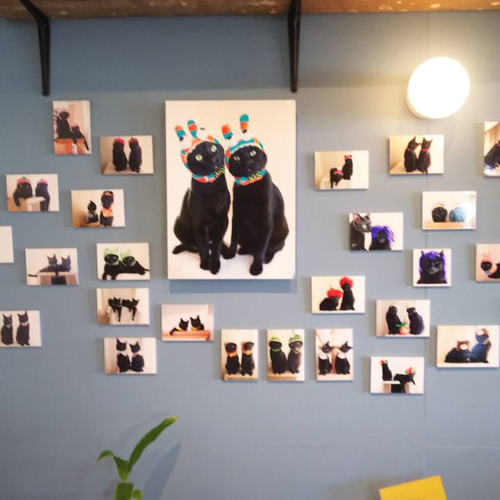 9760982d 9207 4579 91f9 2bb4d406cd7f 1550389983961