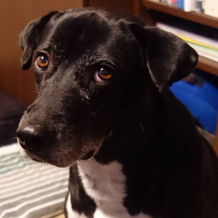 9760abbe 5ae4 4ff8 8b27 8ba9da7600f9 1733273851572