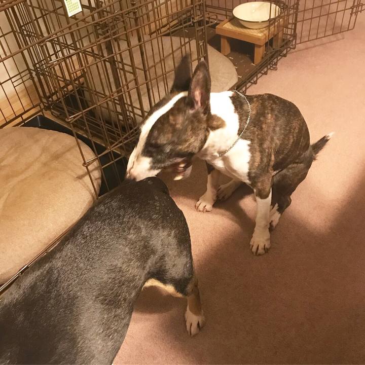 9760b100 15cc 4789 baed 9de5e2c29a79 1521028050154