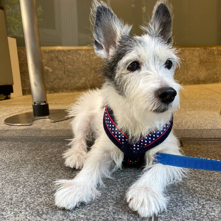 9760becc 26fe 4c33 8683 ecd69eecb684 1600691238714