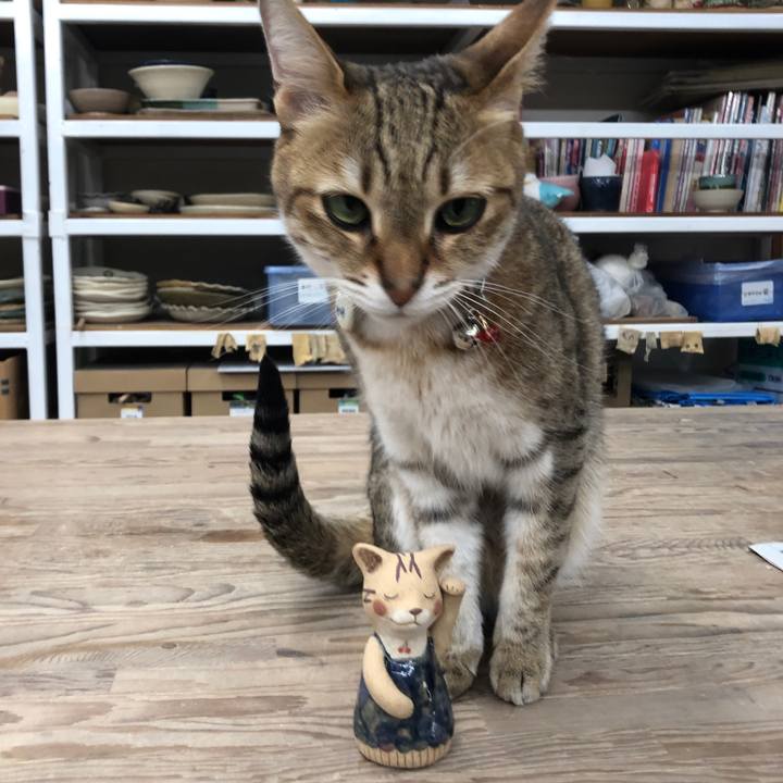 9761151e 6668 4ae7 80b0 e624b3d5bf22 1712917811993