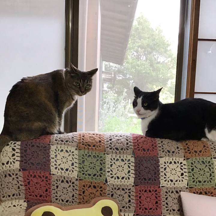 976123d4 5b32 419f a3ce 484a9023bd2d 1714376621013