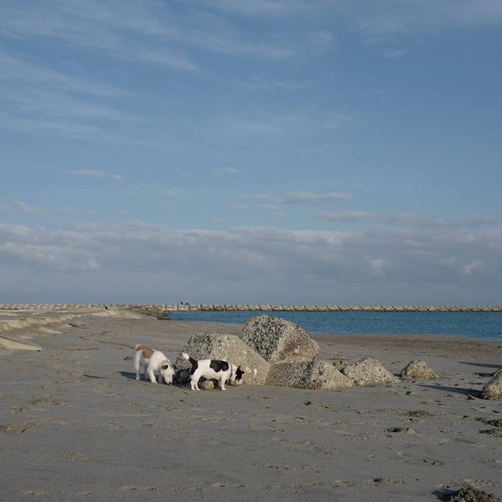 97615e03 cce2 470a a2cc 1cd68297f0b5 1508993318977