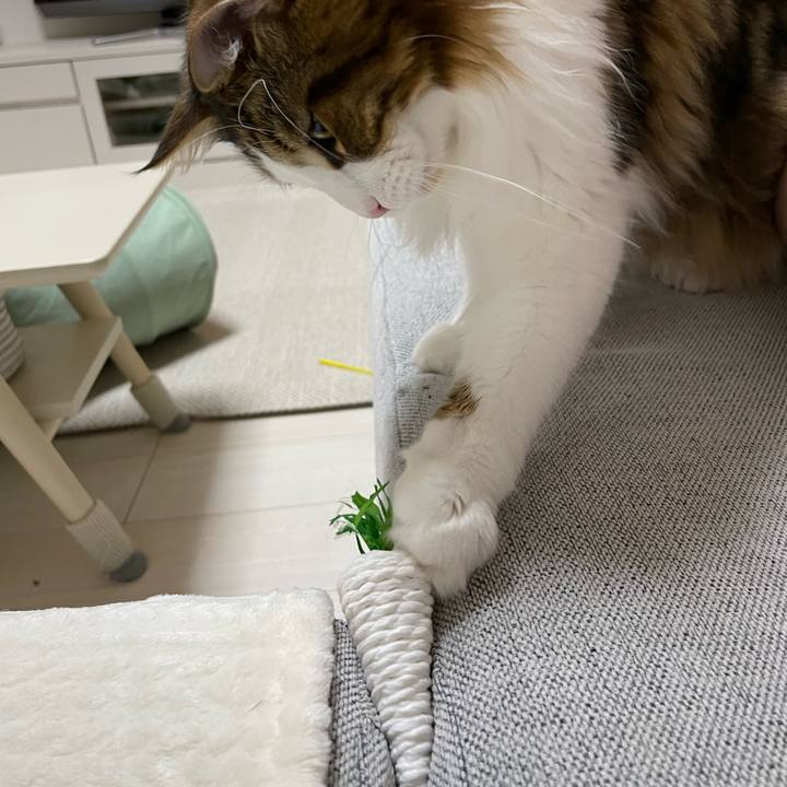 97617a9d b0c8 4f18 8775 7dfeabdc9878 1649762948163