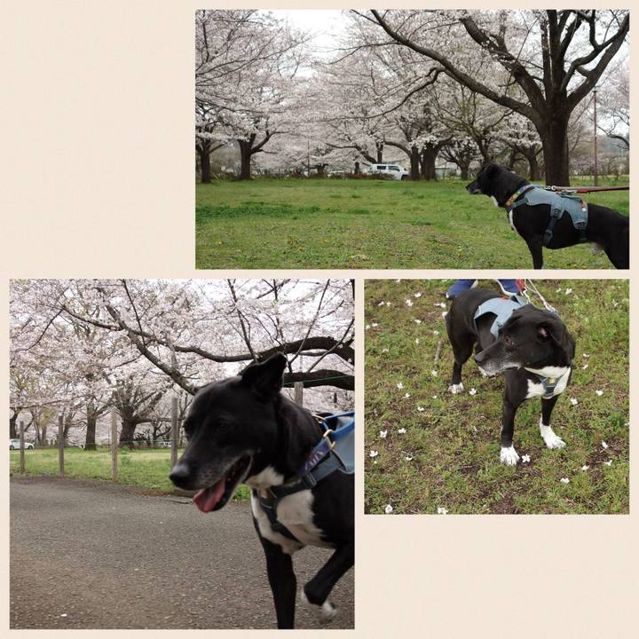 97618729 bed7 4b39 a05c 6ff06fe8179c 1712367907115